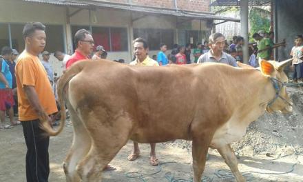 HARI RAYA IDUL ADHA DESA PANDEAN