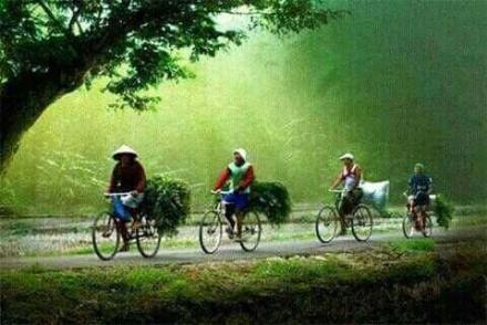 PAWAI HABIS NYARI RUMPUT 
