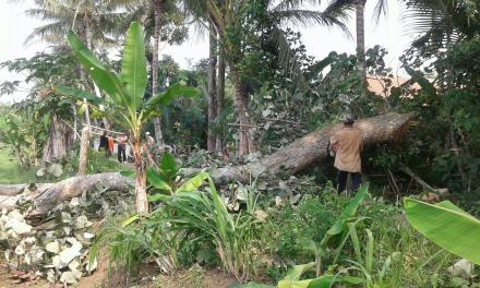 gotong royong untuk pavingisasi jalan
